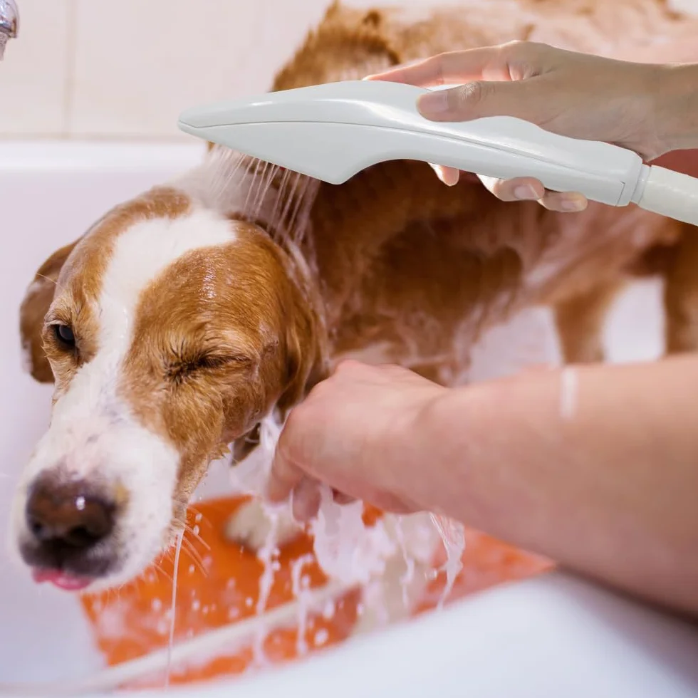 Altéax Doccino per Lavandino per Rubinetti Rotondi con Attacco Universale - La nostra Doccia Portatile è Adatta per Lavare Capelli, Animali Domestici e Bambini - Doccetta per Lavandino Cucina