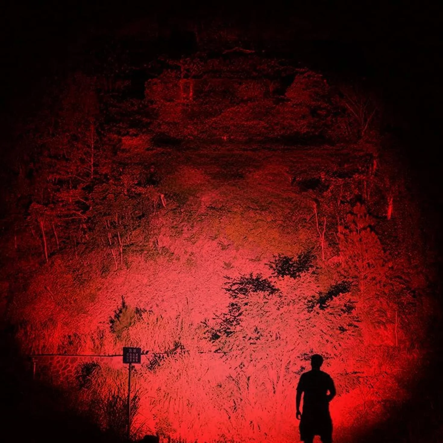 Torcia a LED Rossa Impermeabile Zoomabile 3 Modalità per Caccia Notturna